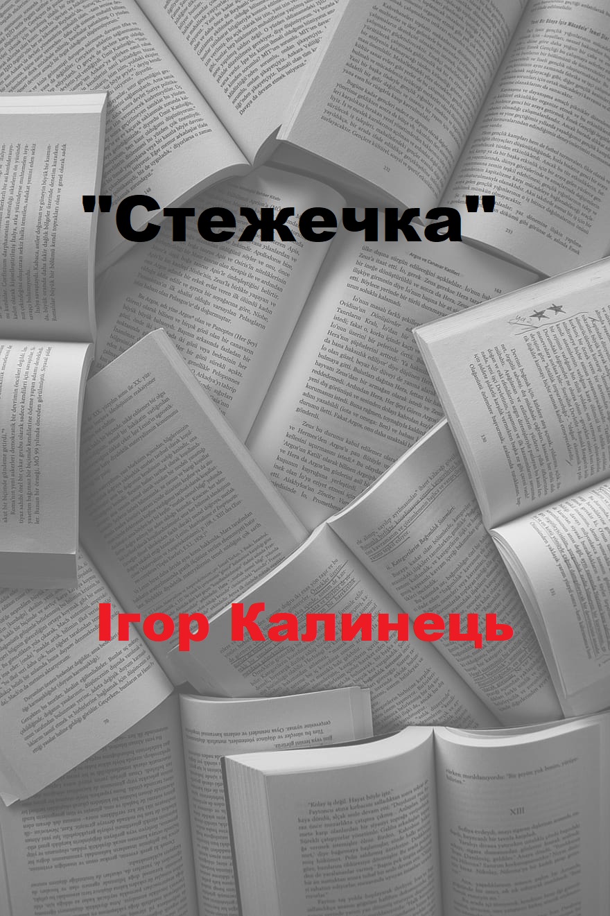 Стежечка - Ігор Калинець